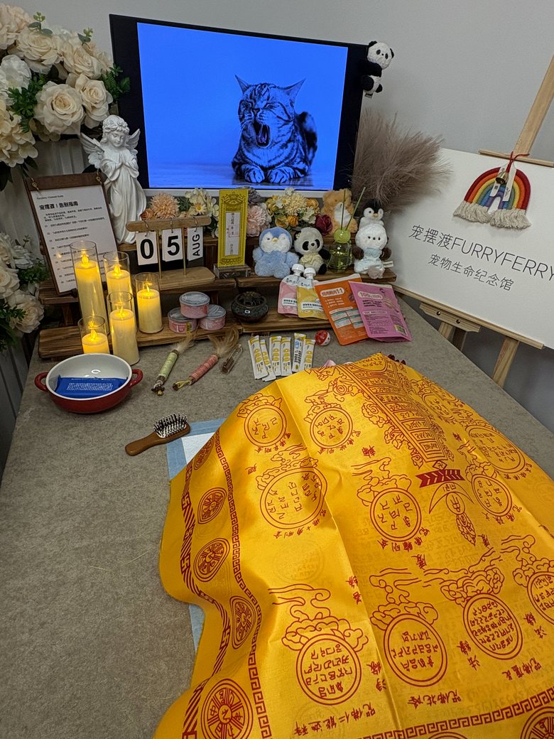 杭州宠物殡葬门店告别厅环境